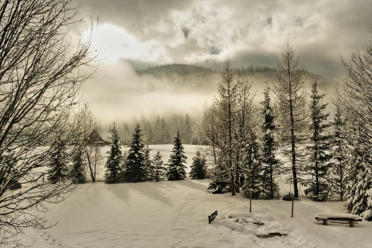 Chata Mtb Kościelisko Buitenkant foto